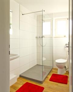 a bathroom with a glass shower with a toilet and red rugs at Stahlecker Hof in Lichtenstein