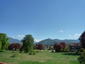 un campo verde con árboles y montañas al fondo en Gästehaus Johanna en Bad Wiessee