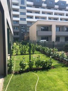 a garden with plants and a building in the background at Garden Apartman Radnica in Košice