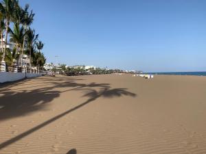 ティアスにあるTeiga Playaの晴れた日にはヤシの木が茂る砂浜