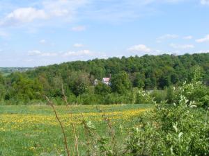 un campo de flores con una casa en la distancia en Dworek Lachowicze, en Grzegorzewice