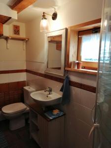 a bathroom with a toilet and a sink and a mirror at Robakówka in Ochotnica Dolna