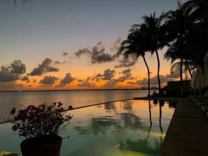 una piscina con palmeras y una puesta de sol en Casa Tortugas Boutique Hotel - CANCUN Hidden Gem en Cancún