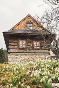 a log house with windows on the side of it at Chata pod Rozsutcom in Terchová