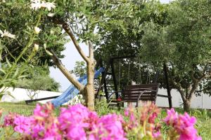 Zahrada ubytování Apartments Zaton Draga