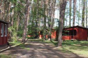 una cabaña en medio de un bosque con árboles en Archimedes Tourist Sp. z o.o., en Międzyrzecz