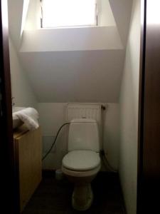 a small bathroom with a toilet and a window at Sarzynówka in Krasnobród +17 photos
