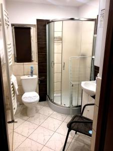 La salle de bains est pourvue d'une douche, de toilettes et d'un lavabo. dans l'établissement Sarzynówka, à Krasnobród