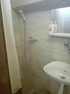 y baño con ducha y lavamanos. en Villa Nirvana en Palić