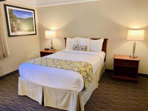 a hotel room with a large bed and two lamps at Baymont by Wyndham Texarkana in Texarkana