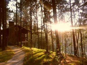 a cabin in the woods with the sun shining through the trees at Cabañas El Rincón de Pancho in Altotonga