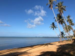 a group of palm trees on a beach with the ocean at Little Moon Villa in Ko Mak