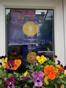 une exposition de fleurs devant une fenêtre dans l'établissement Pension Pauly, à Boppard