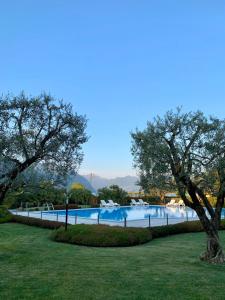 Bazén v ubytování Hotel Ulivi nebo v jeho okolí