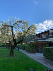 Zahrada ubytování Hotel Ulivi