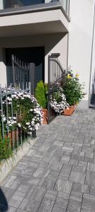 un patio con flores en macetas y una valla en B & B Il sorriso, en Tirano