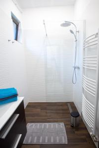 Vannituba majutusasutuses Apartman Fonyód