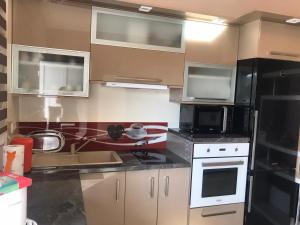 Kuchyň nebo kuchyňský kout v ubytování Apartman Petra 1