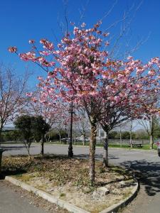 Fotografie z fotogalerie ubytování Tara View Apartments v destinaci Garristown