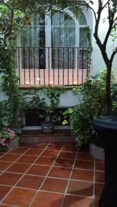 A garden outside Hostal Restaurante Pacos