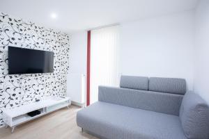 Televízia a/alebo spoločenská miestnosť v ubytovaní Apartment Arnika Kranjska Gora