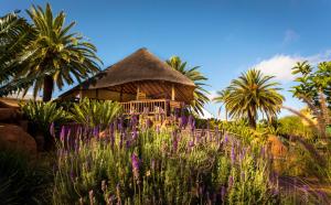 a thatch roof hut with palm trees and purple flowers at Bolivia Lodge in Polokwane