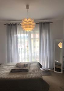 a bedroom with a bed and a large window at Apartament u Gogoca in Tylicz