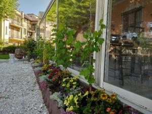 Garður fyrir utan Ristorante Albergo Corona