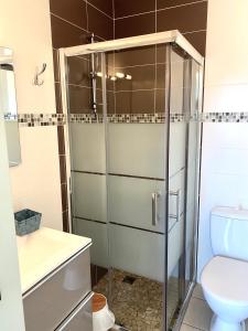 uma casa de banho com um chuveiro e um WC. em Hôtel Le Plaisance em Mimizan-Plage