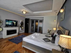 ein Schlafzimmer mit einem großen Bett und einem Kamin in der Unterkunft Crystal Central Apartment in Braşov