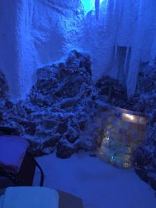 Foto de la galeria de Spa Hotel Iris a Karlovy Vary