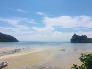 Fotografie z fotogalerie ubytování Dee Dee Sea Front v destinaci Phi Phi Don