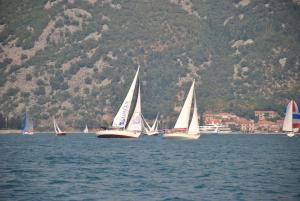 eine Gruppe von Segelbooten in einem Wasserkörper in der Unterkunft Apartmani Villa Radovic in Risan