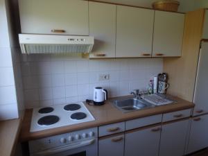 Kuchyň nebo kuchyňský kout v ubytování Landhaus Sommerau