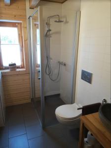 a bathroom with a shower with a toilet and a glass shower stall at Blockbohlenhaus bei Potsdam in Schwielowsee