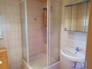 a bathroom with a shower and a sink at Ferienhaus Möschwitz in Möschwitz +19 photos