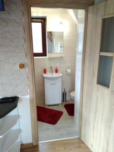 シュツァブニツァにあるPokoje u Gosiのバスルーム(洗面台、トイレ、鏡付)