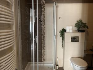 a bathroom with a shower and a toilet at Pułaskiego 11A - Przestronne apartamenty, Sopot centrum in Sopot +34 photos