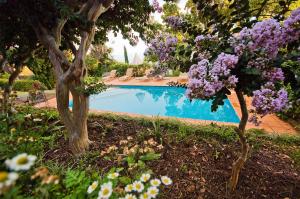 uma piscina rodeada por flores e árvores roxas em Quinta das Vinhas em Calheta