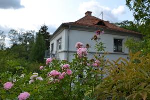 Uma casa branca com flores cor-de-rosa à frente. em Villarada em Łagów