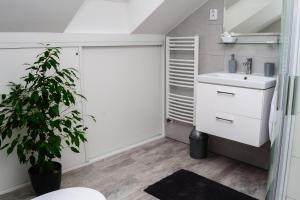 a bathroom with a sink and a plant at Apartmány RUMPA-DRINKS in Ostrava