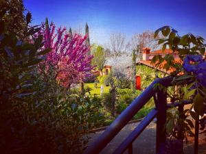 um jardim com flores roxas e uma casa ao fundo em Cascina CORTEPRIMAVERA, B&B del Baliot em Passirano