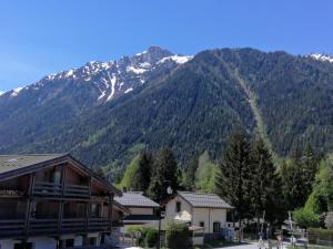 a mountain in the distance with houses and trees at Le Chamoniard Volant in Chamonix-Mont-Blanc