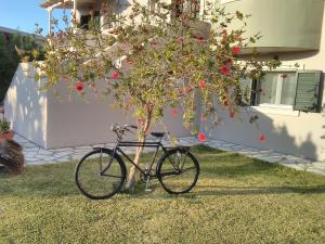 Jazda na bicykli v okolí ubytovania Casa memories