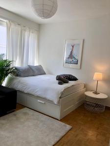 um quarto com uma cama com um candeeiro e uma janela em The Paquis Oasis in Central Geneva em Genebra