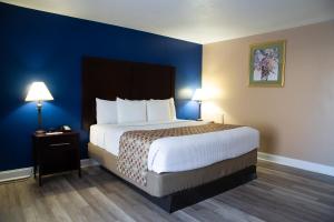 a hotel room with a bed and a blue wall at Hotel Pentagon in Arlington