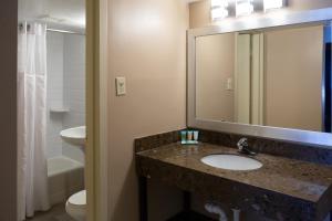 a bathroom with a sink and a toilet and a mirror at Hotel Pentagon in Arlington