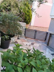 Fotografia z galérie ubytovania Apartments Medea vo Fažane