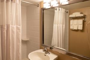 a bathroom with a sink and a shower curtain at Hotel Pentagon in Arlington