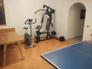 Posilňovňa alebo fitness centrum v ubytovaní Cesa Sara